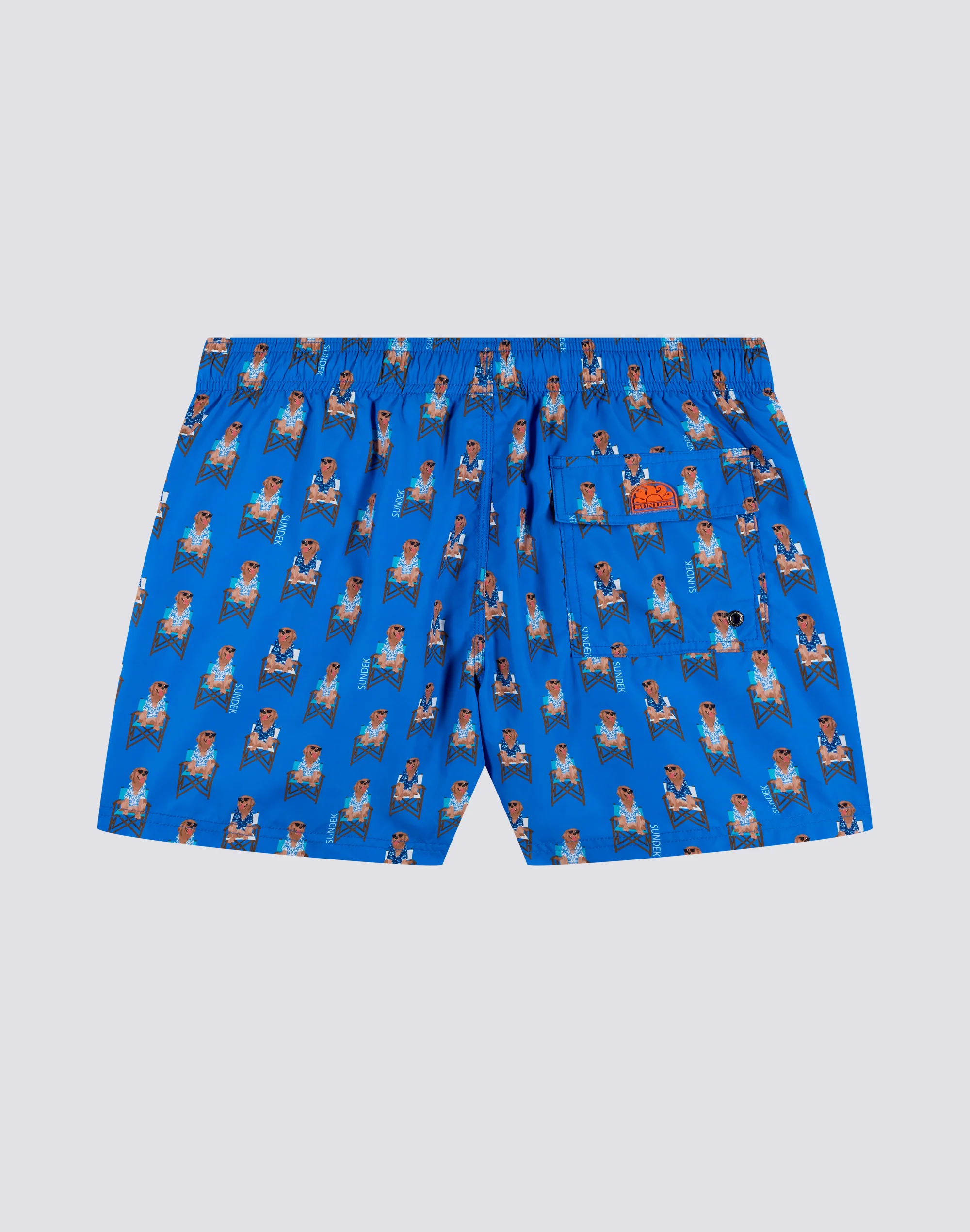 COSTUME A PANTALONCINO CAPSULE PELO - LOOKOUT GOLDEN RETRIEVER - Image 2